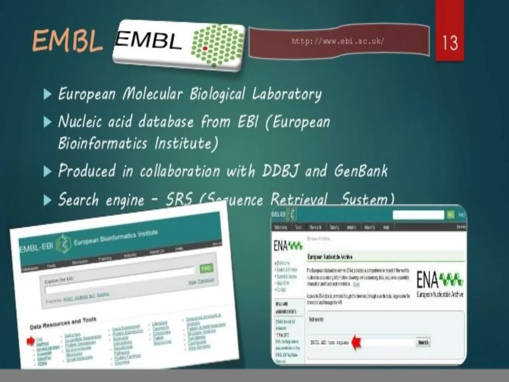 BIOINFORMATICS DATABASES UNIT IV DATABASE A - slide 18 of 38