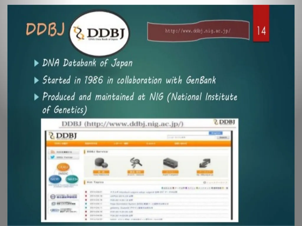 BIOINFORMATICS DATABASES UNIT IV DATABASE A - slide 21 of 38