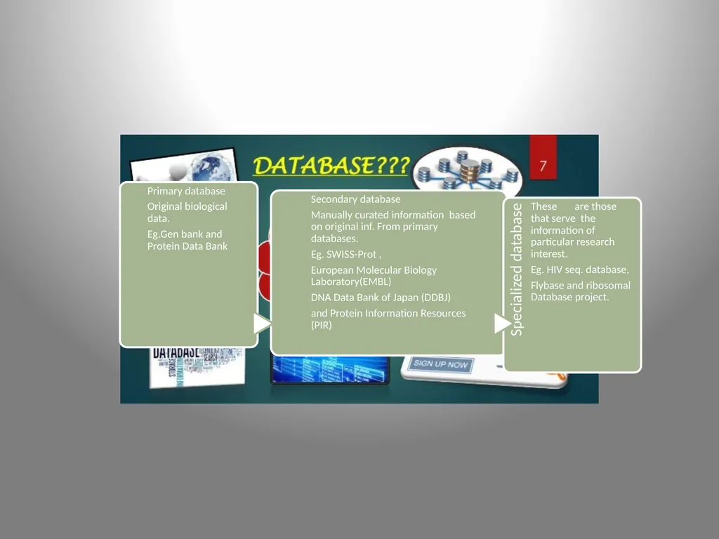 BIOINFORMATICS DATABASES UNIT IV DATABASE A - slide 5 of 38