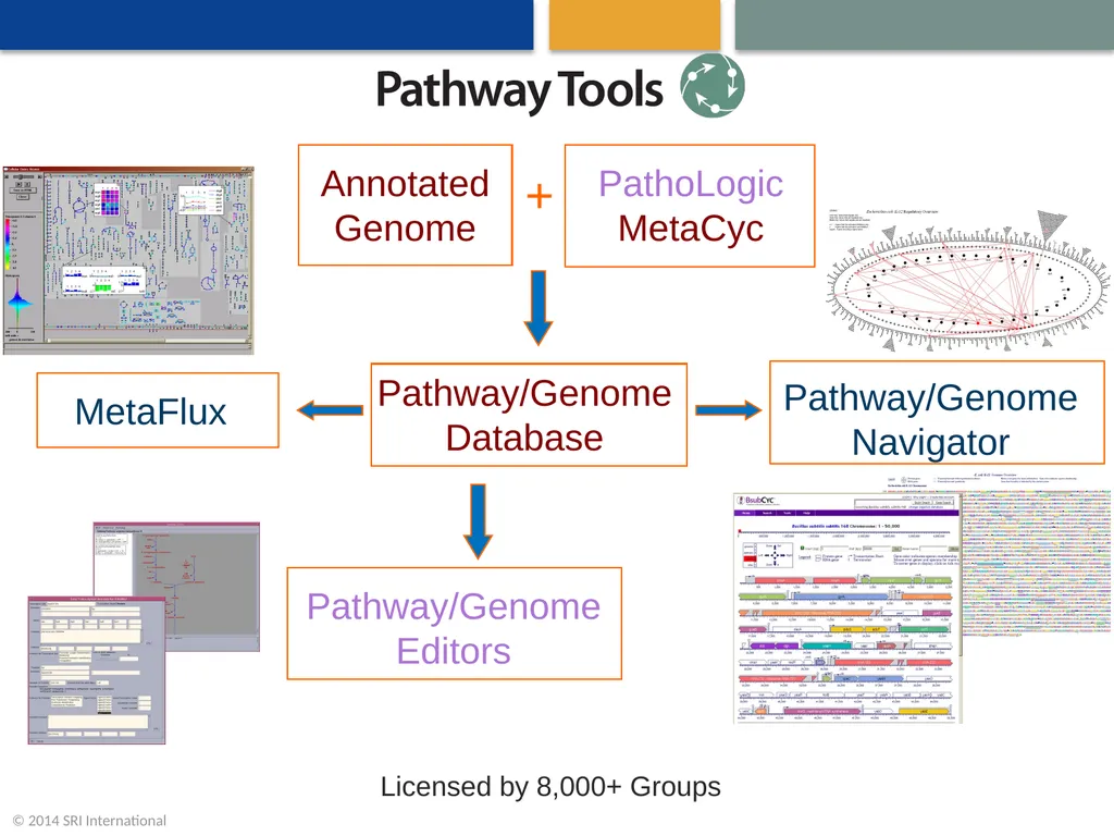 A Community Effort to Model the Human Microbiome - slide 2 of 16