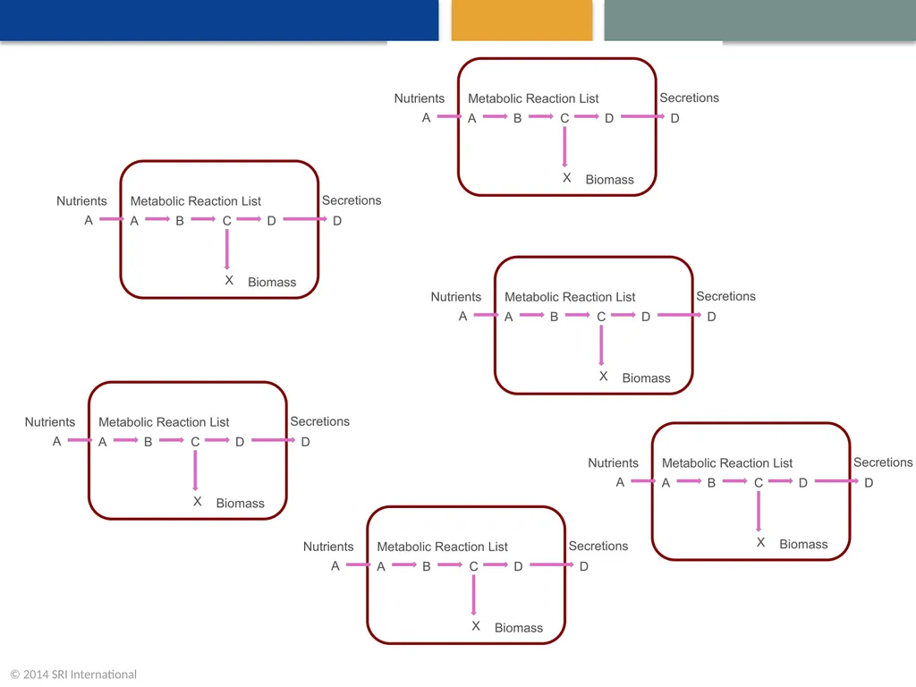 A Community Effort to Model the Human Microbiome - slide 9 of 16