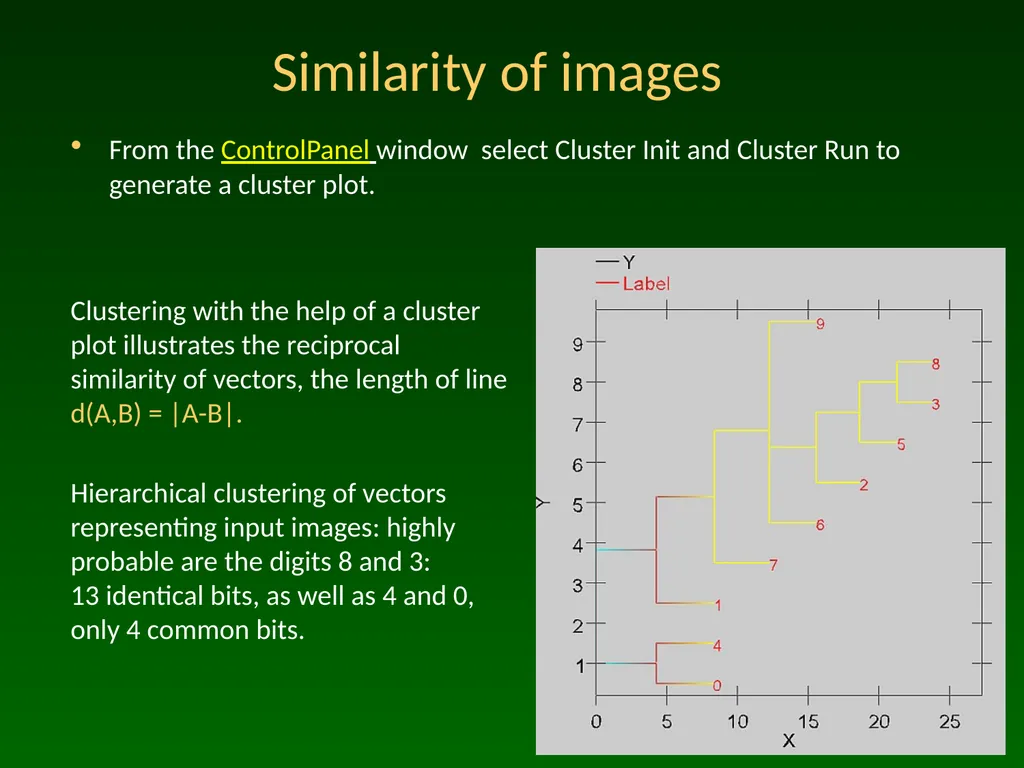 Advanced Topic in Cognitive Neuroscience and - slide 15 of 24