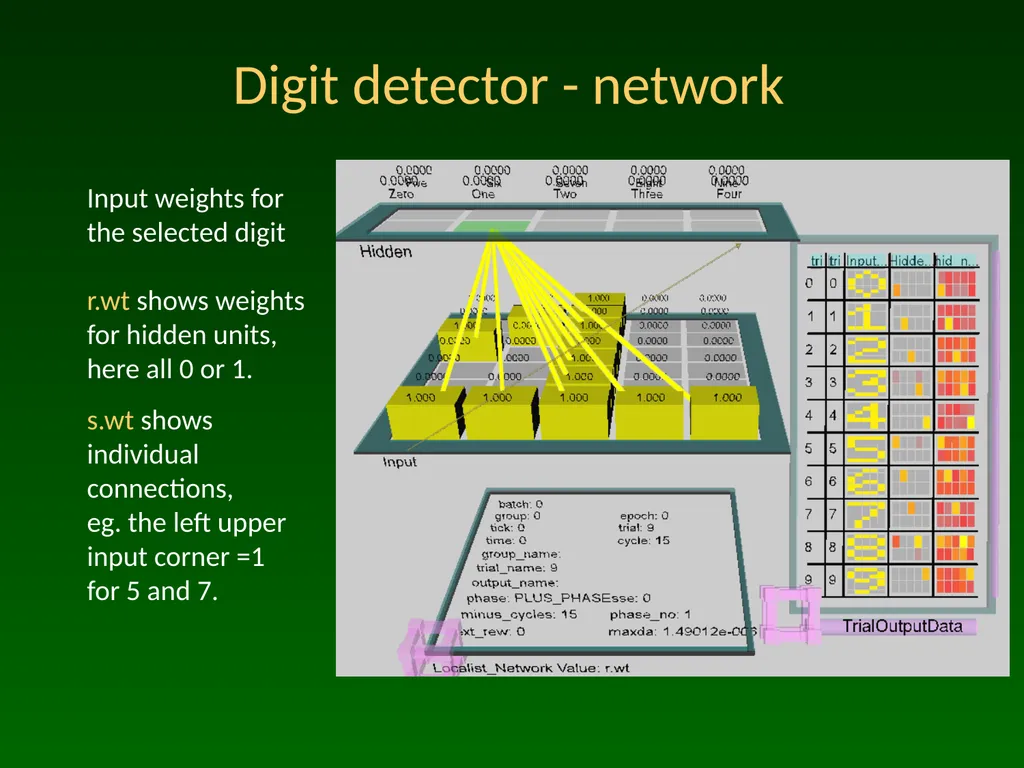 Advanced Topic in Cognitive Neuroscience and - slide 11 of 24