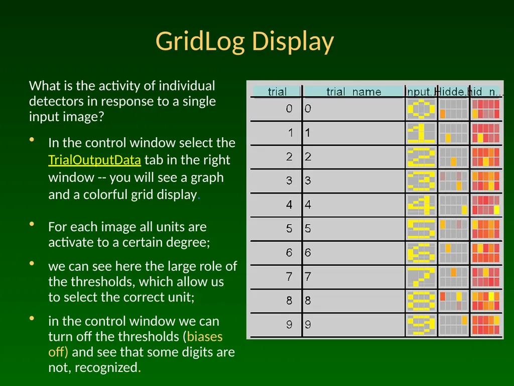 Advanced Topic in Cognitive Neuroscience and - slide 13 of 24