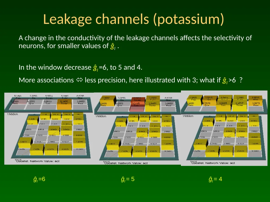 Advanced Topic in Cognitive Neuroscience and - slide 17 of 24