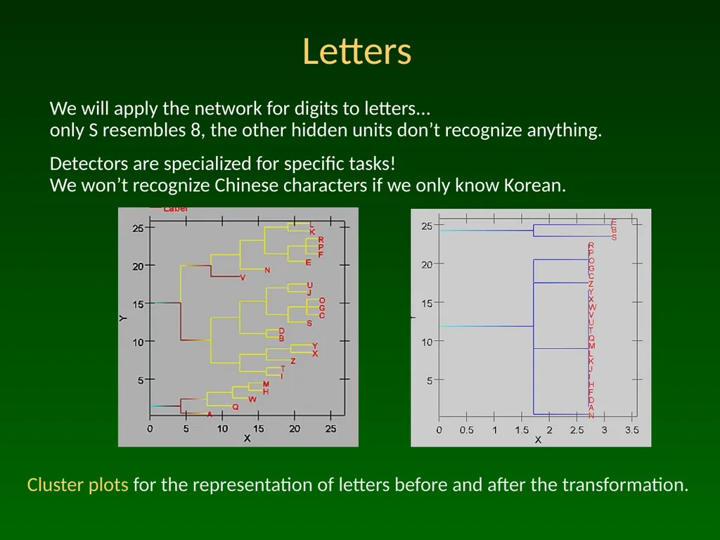Advanced Topic in Cognitive Neuroscience and - slide 18 of 24