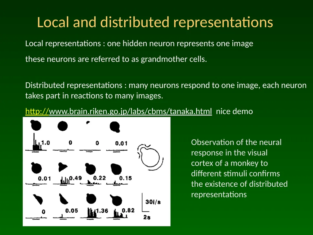 Advanced Topic in Cognitive Neuroscience and - slide 19 of 24
