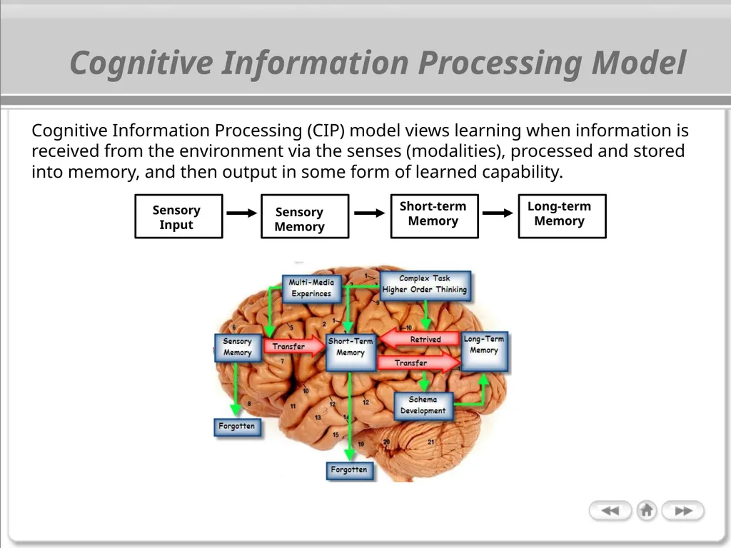 The Cognitive Science of Learning: Implications - slide 8 of 45