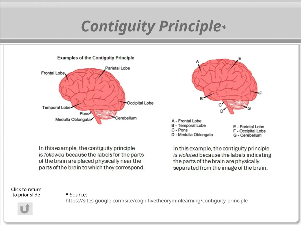 The Cognitive Science of Learning: Implications - slide 44 of 45