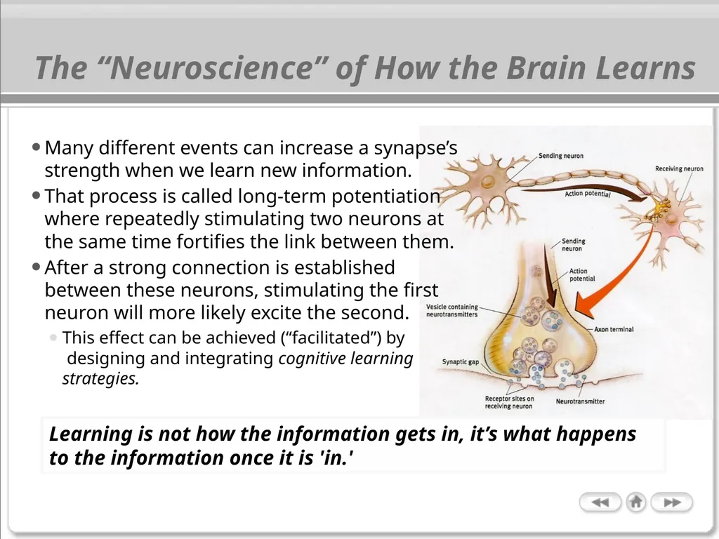 The Cognitive Science of Learning: Implications - slide 7 of 45