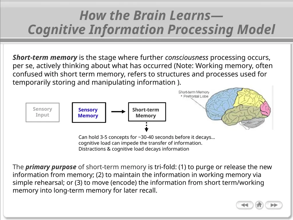 The Cognitive Science of Learning: Implications - slide 10 of 45