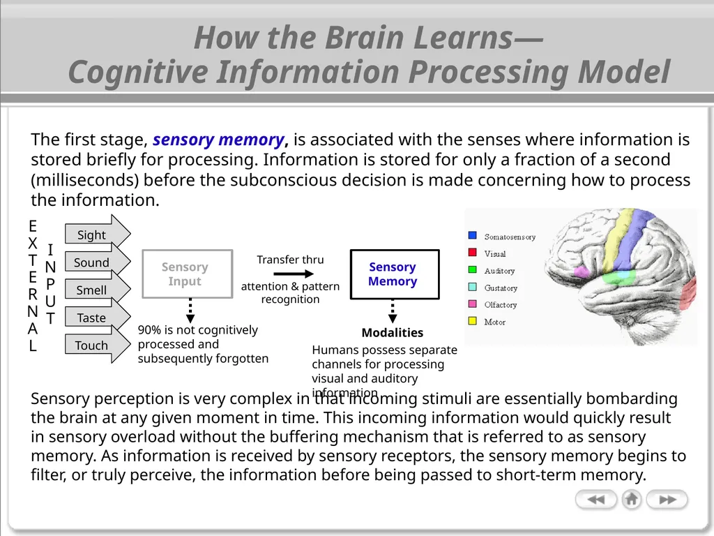 The Cognitive Science of Learning: Implications - slide 9 of 45