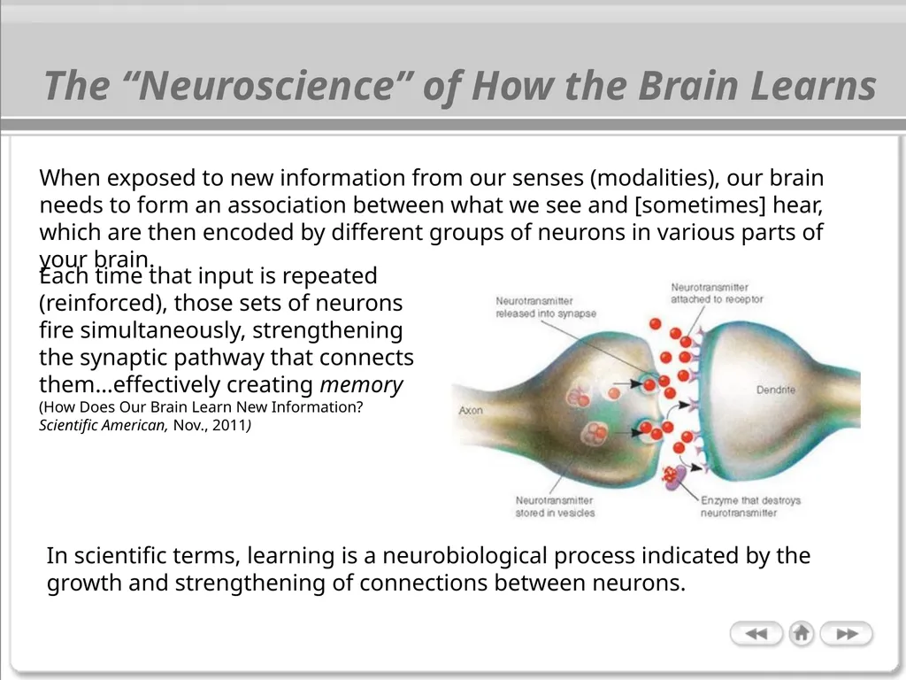 The Cognitive Science of Learning: Implications - slide 6 of 45