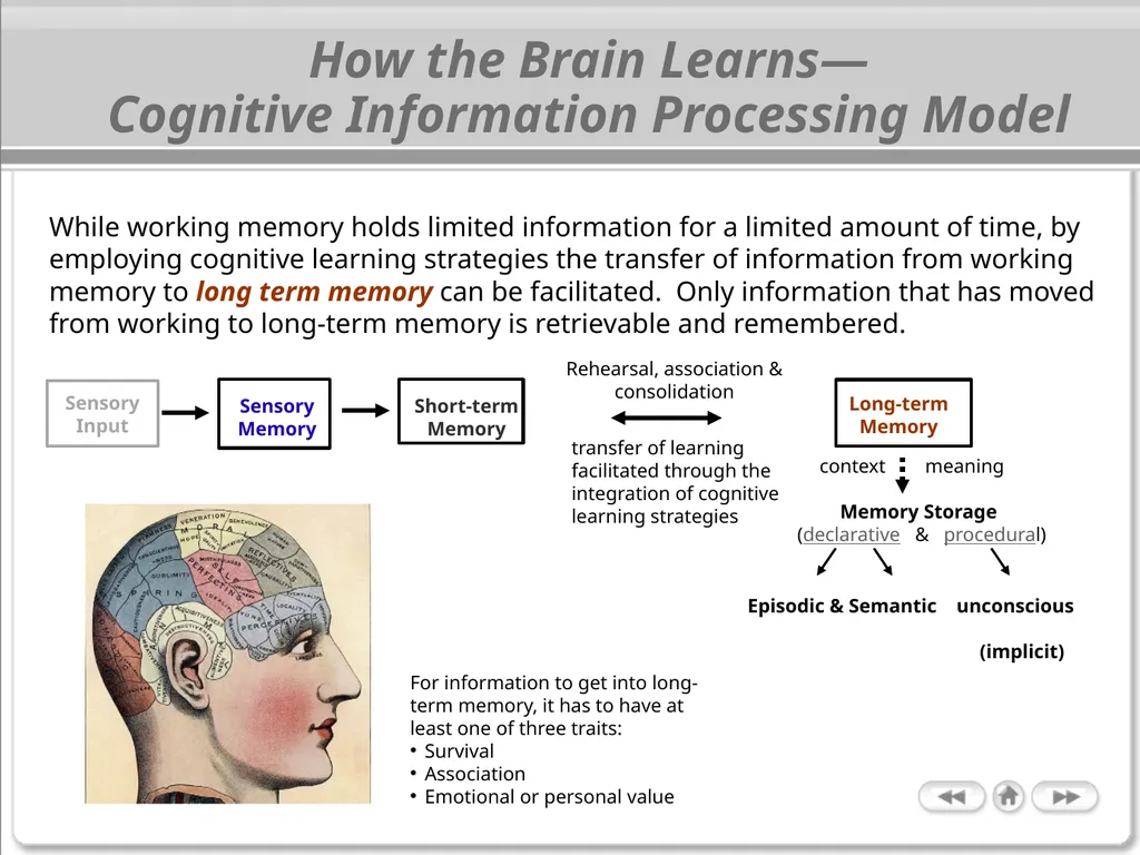 The Cognitive Science of Learning: Implications - slide 11 of 45