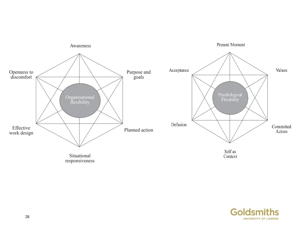Contextual behavioural science and large-scale - slide 26 of 40