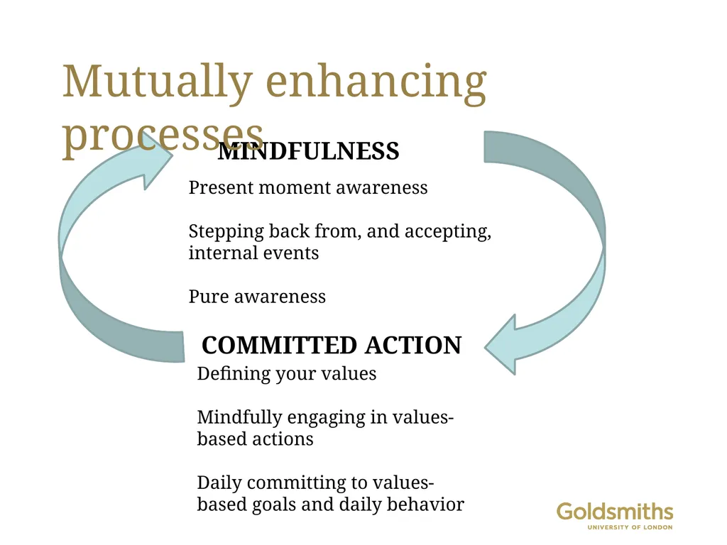 Contextual behavioural science and large-scale - slide 11 of 40