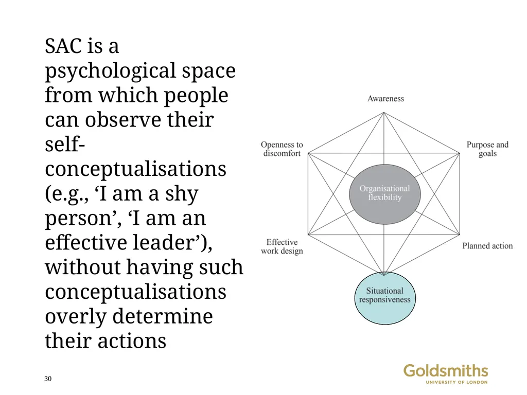 Contextual behavioural science and large-scale - slide 30 of 40