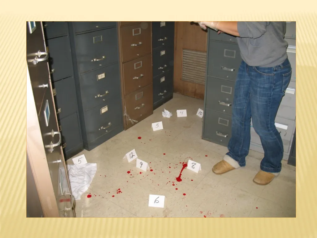 Syracuse University Project Advance Forensic - slide 19 of 28