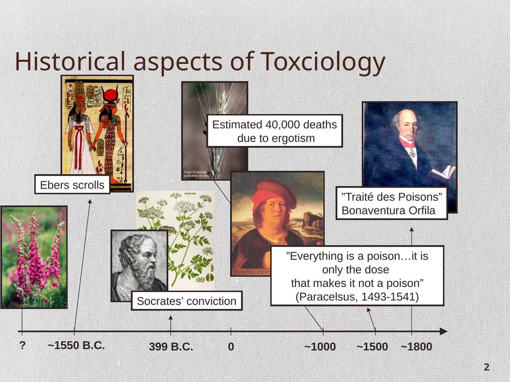Chapter 1.2: Introduction to Toxicity and - slide 2 of 18