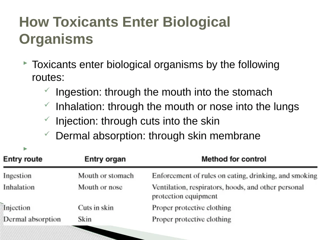 Chapter 2 Toxicology Toxicology was defined as the - slide 5 of 32