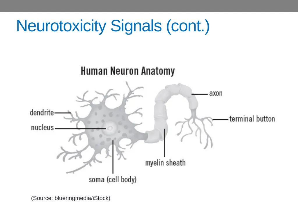 CHAPTER 4 Basic Concepts in Industrial Toxicology - slide 31 of 35