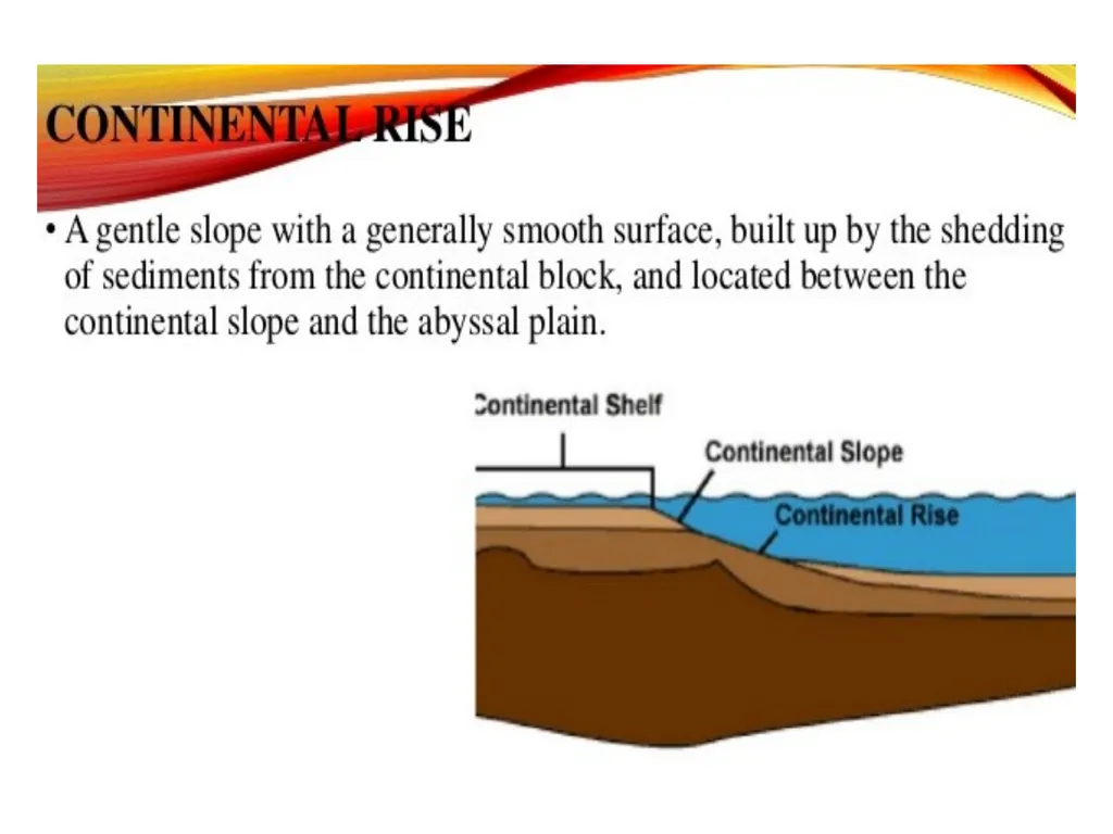 Oceanography: Definition, Topography of the ocean - slide 13 of 27