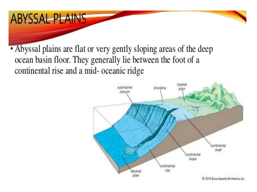 Oceanography: Definition, Topography of the ocean - slide 15 of 27
