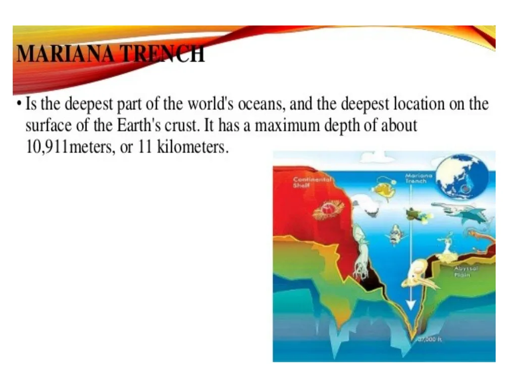 Oceanography: Definition, Topography of the ocean - slide 17 of 27