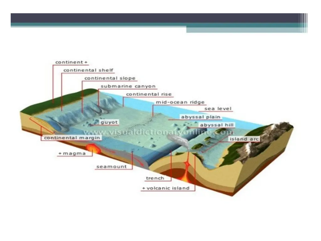 Oceanography: Definition, Topography of the ocean - slide 20 of 27