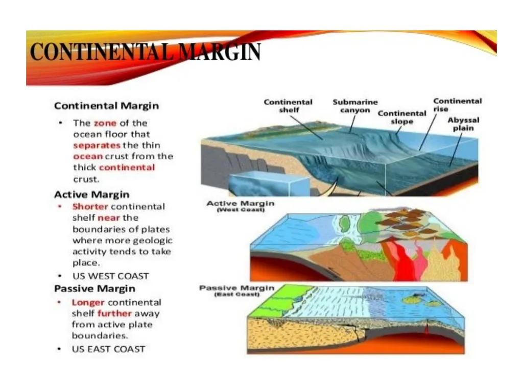 Oceanography: Definition, Topography of the ocean - slide 8 of 27