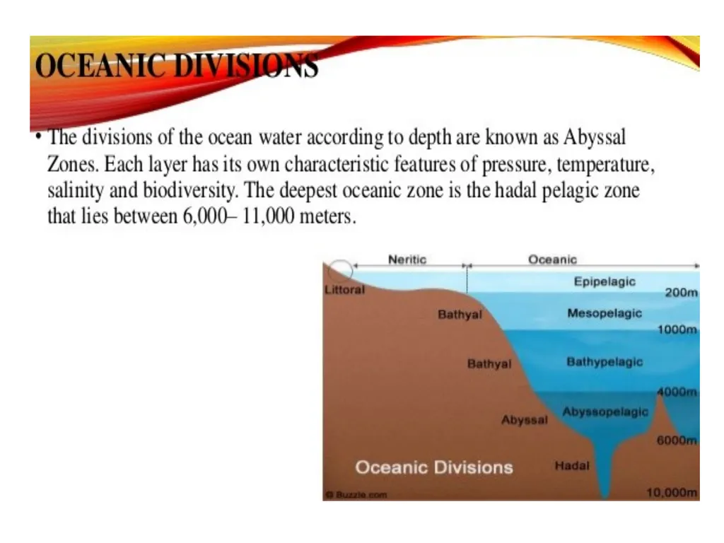 Oceanography: Definition, Topography of the ocean - slide 9 of 27