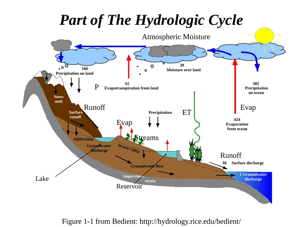 Evaporation and Transpiration Evapotranspiration - slide 3 of 18