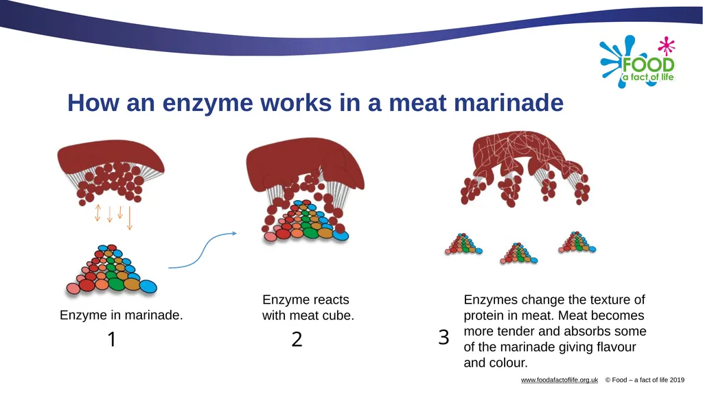 Food science of marinades Food science of - slide 5 of 13