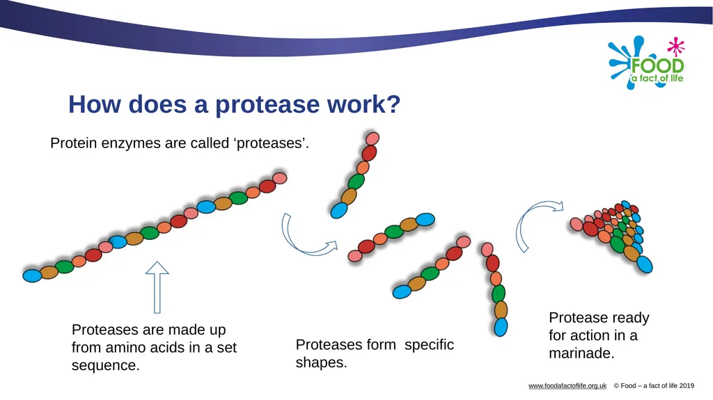 Food science of marinades Food science of - slide 4 of 13