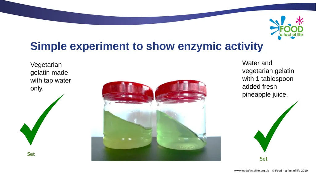 Food science of marinades Food science of - slide 11 of 13