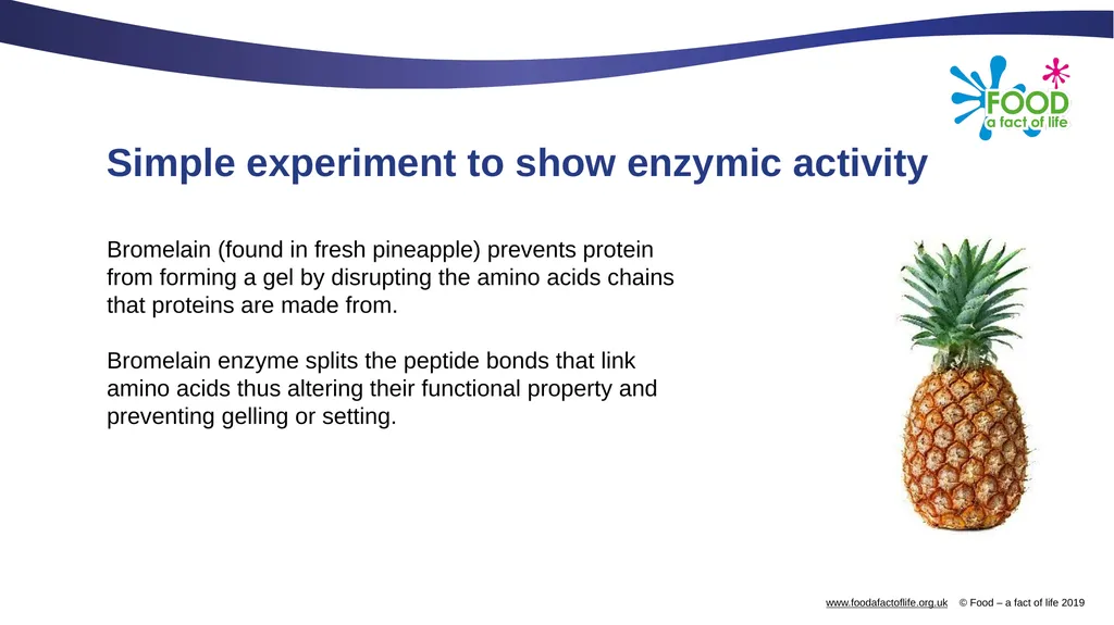 Food science of marinades Food science of - slide 7 of 13