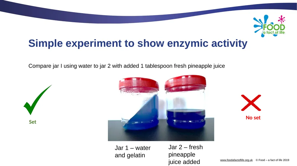 Food science of marinades Food science of - slide 9 of 13