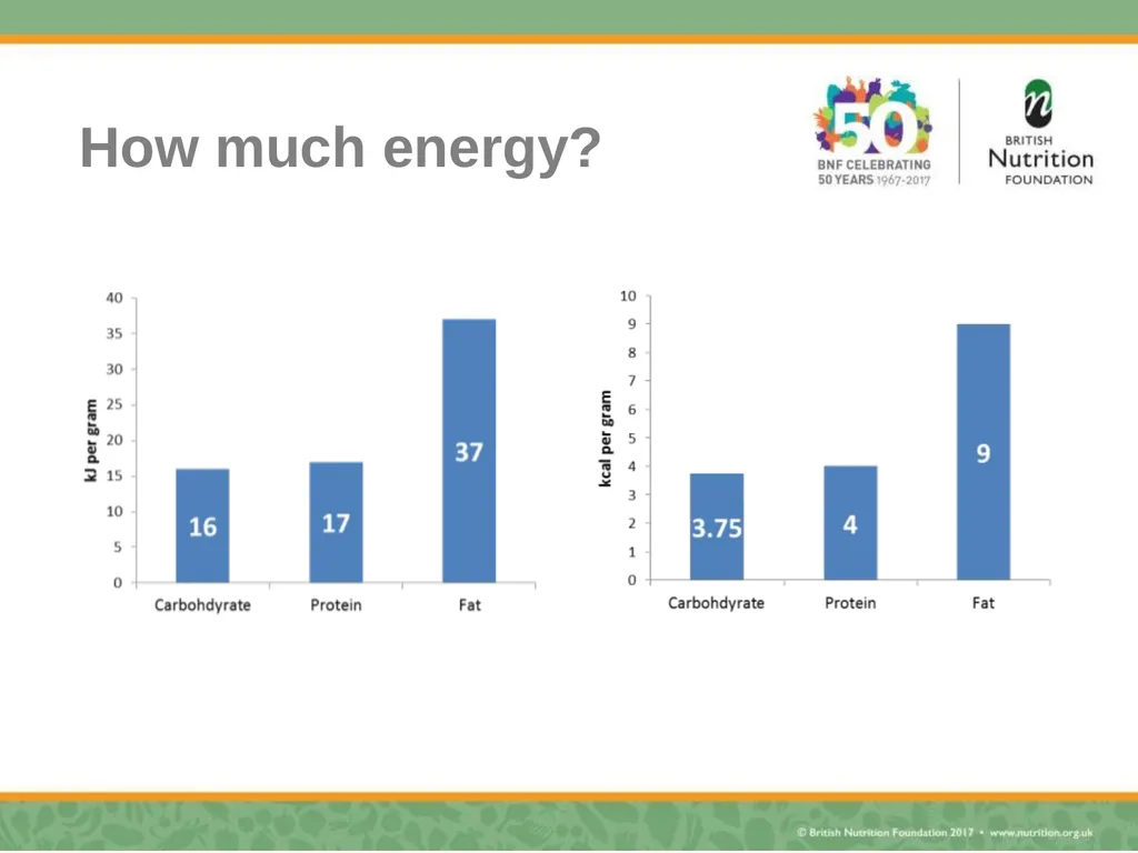Nutrition science – myth busting Rebecca Haresign - slide 11 of 35