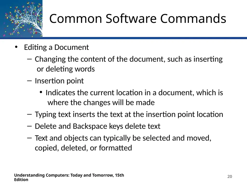 Deborah Morley Charles S. Parker 15th Edition - slide 20 of 67