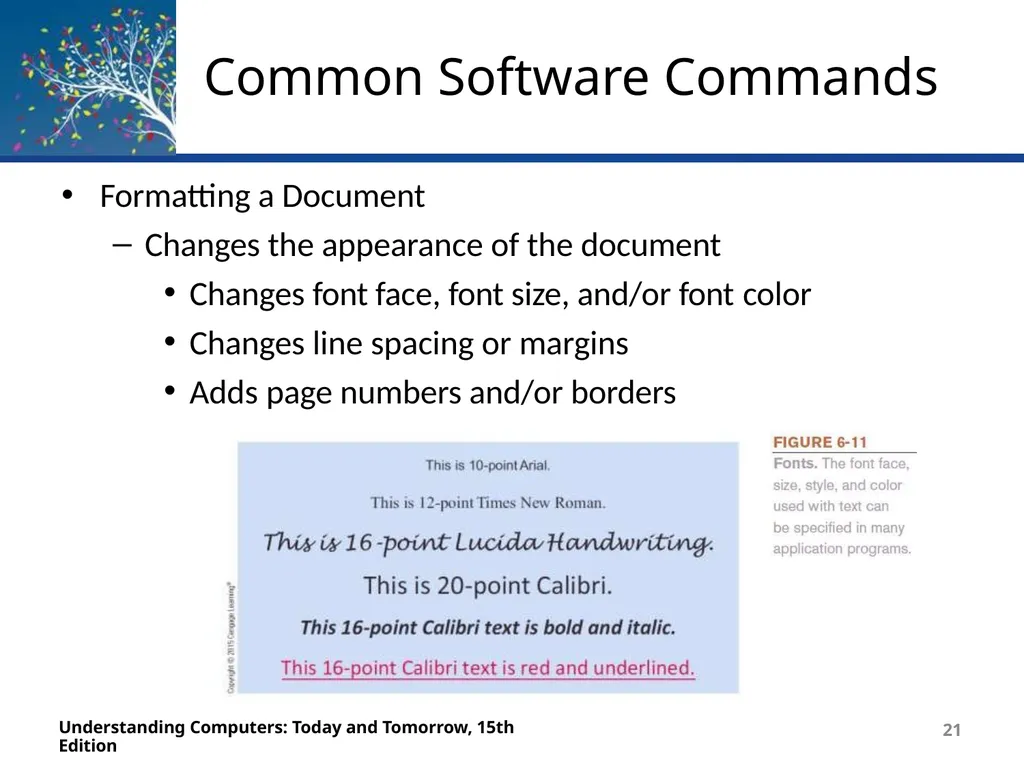 Deborah Morley Charles S. Parker 15th Edition - slide 21 of 67