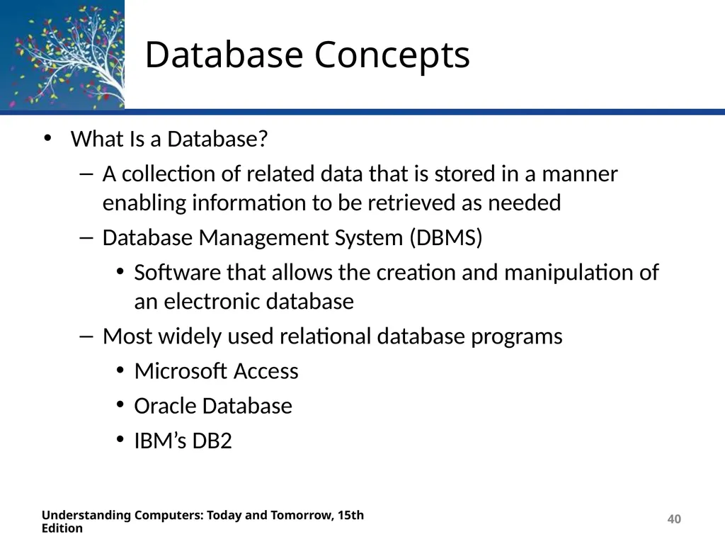 Deborah Morley Charles S. Parker 15th Edition - slide 40 of 67