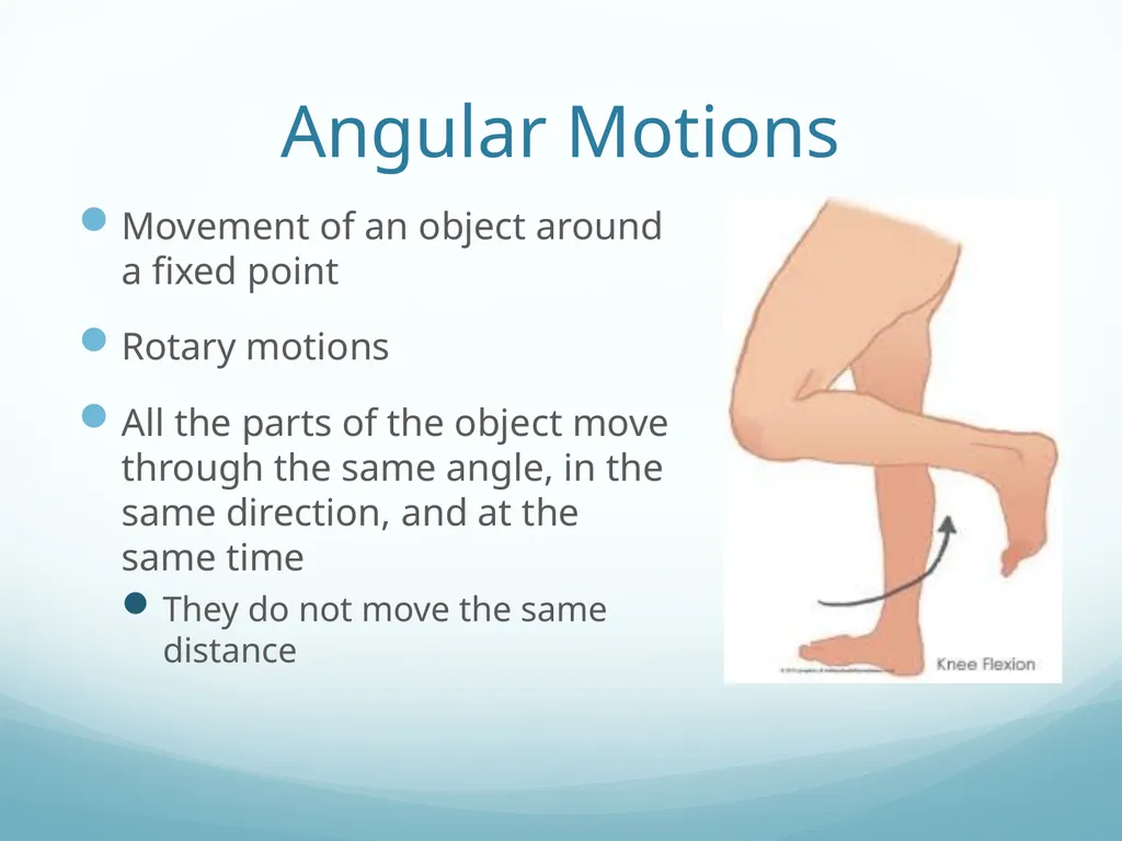 Intro to Functional Anatomy Ch. 1 Lippert p. 3-10 - slide 10 of 18