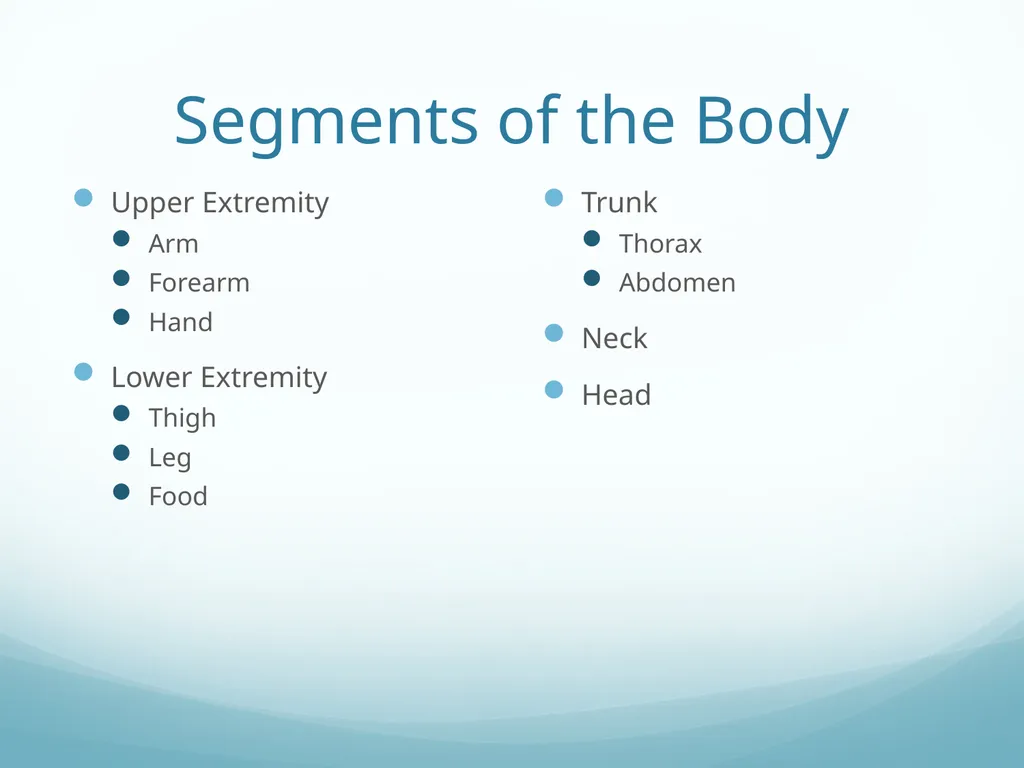 Intro to Functional Anatomy Ch. 1 Lippert p. 3-10 - slide 7 of 18