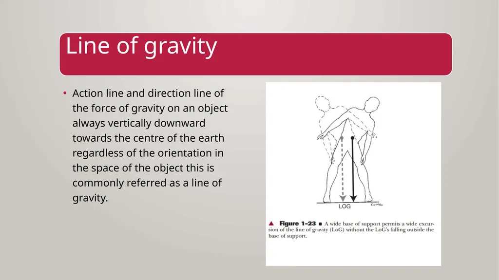 BIOMECHANICS KINESIS – Movement + Logous – Study - slide 24 of 45