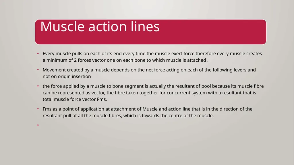 BIOMECHANICS KINESIS – Movement + Logous – Study - slide 41 of 45