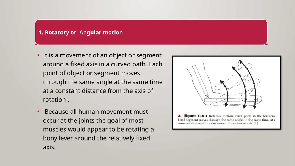 BIOMECHANICS KINESIS – Movement + Logous – Study - slide 5 of 45