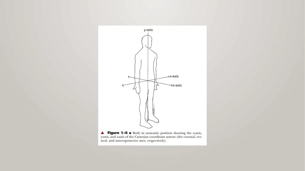 BIOMECHANICS KINESIS – Movement + Logous – Study - slide 12 of 45