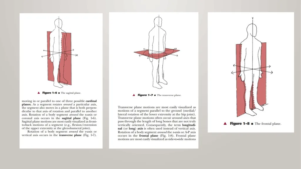 BIOMECHANICS KINESIS – Movement + Logous – Study - slide 14 of 45