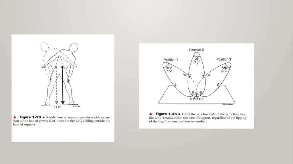BIOMECHANICS KINESIS – Movement + Logous – Study - slide 27 of 45