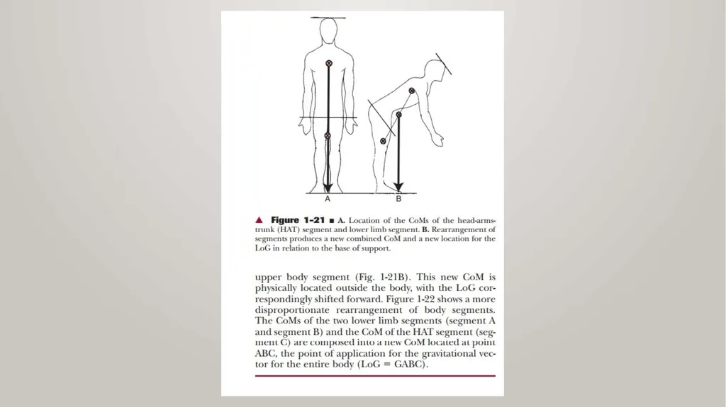 BIOMECHANICS KINESIS – Movement + Logous – Study - slide 28 of 45
